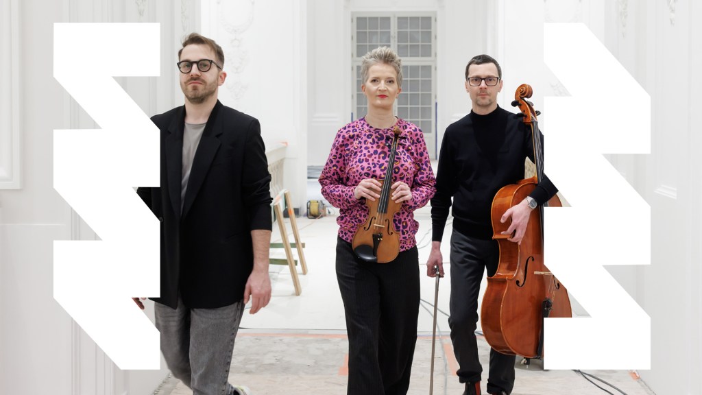 Fundacja Muzyczna „Harmonie i Hałasy” / zespół Flow&nbsp;Unit